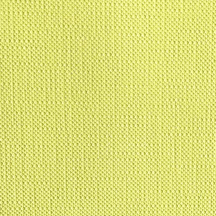Pittura per tessuto