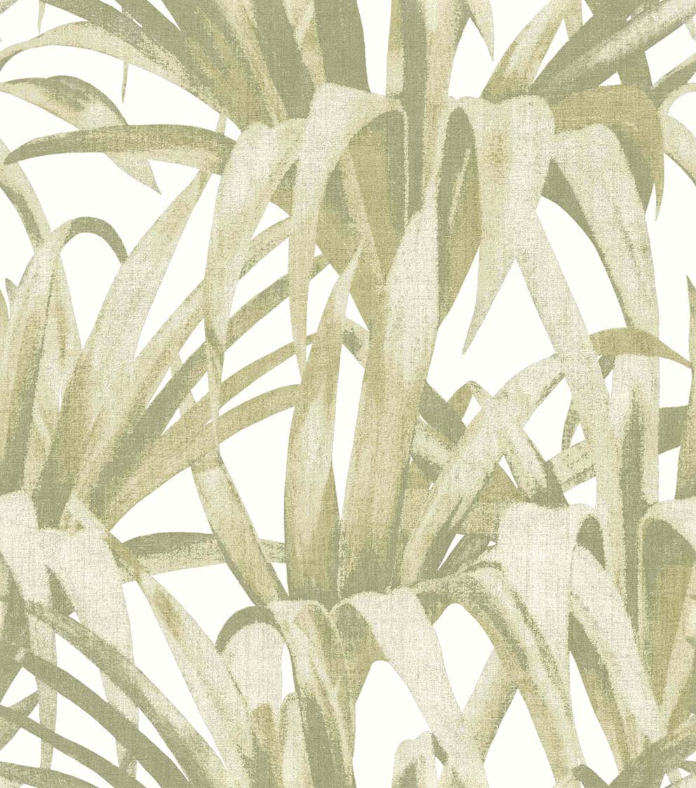 Collezione Botany House-Cristiana Masi