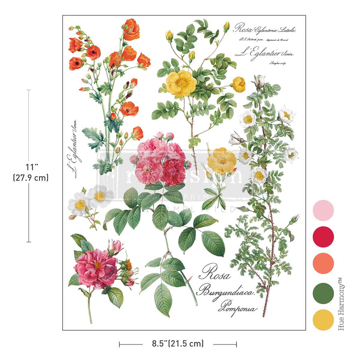Redesign With Prima H20 Transfers _Poetry in Petals